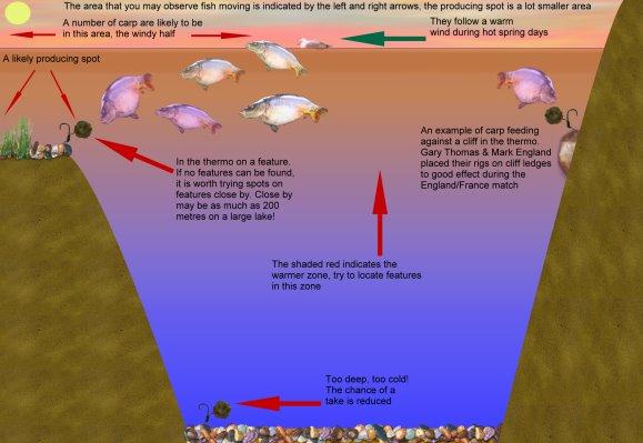 Underwater - feed20tips.jpg